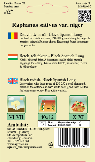 Ridichi de iarnă -Black Spanish Long