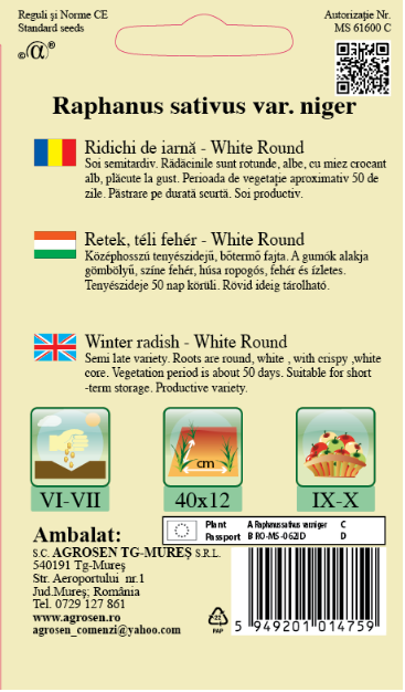 Ridichi de iarnă-White Round