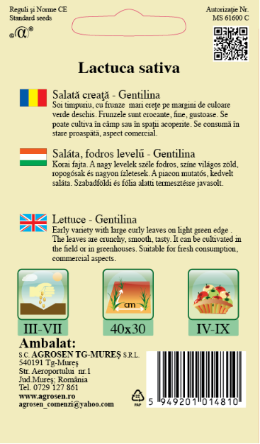 Salată creață - Gentilina