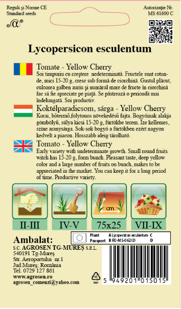 Tomate-Yellow Cherry