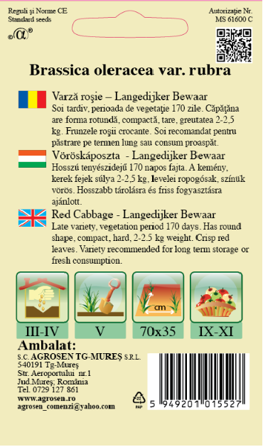 Varză roşie -Langedijker Bewaar