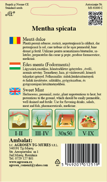 Mentă dulce
