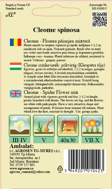 Cleome - Floarea păianjen