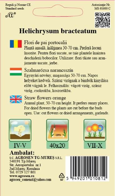 Flori de pai portocalii