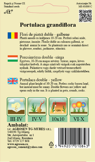 Flori de piatră duble galbene