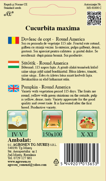 Dovleac de copt-Round America