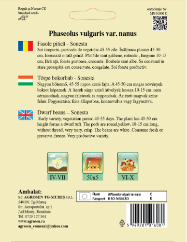 Fasole pitică-Sonesta