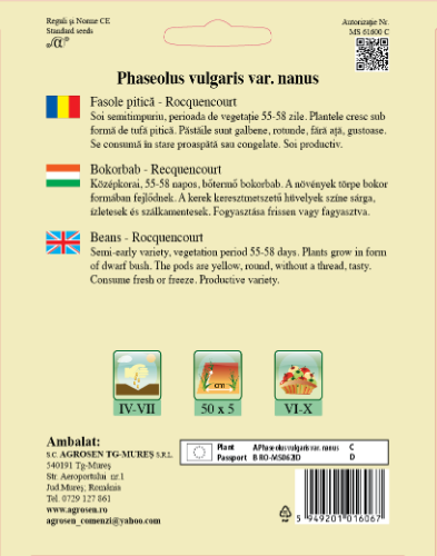 Fasole pitică-Rocquencourt