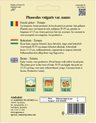 Fasole pitică-Tytania