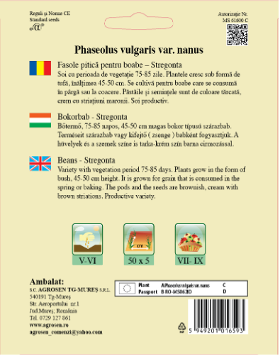 Fasole pitică-Stregonta