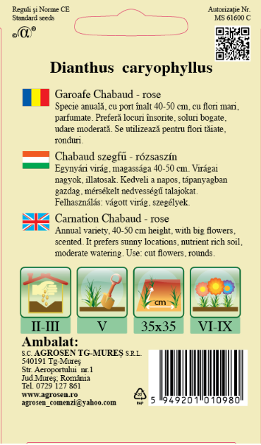 Garoafe Chabaud Rose