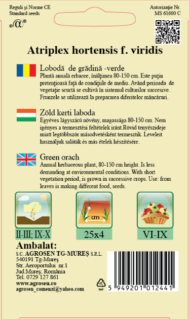 Lobodă de grădină-Verde