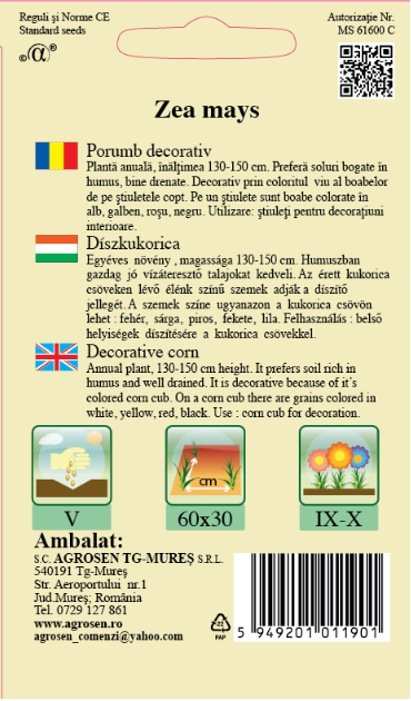 Porumb decorativ