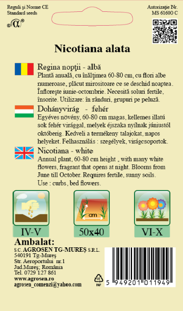 Regina nopții albă