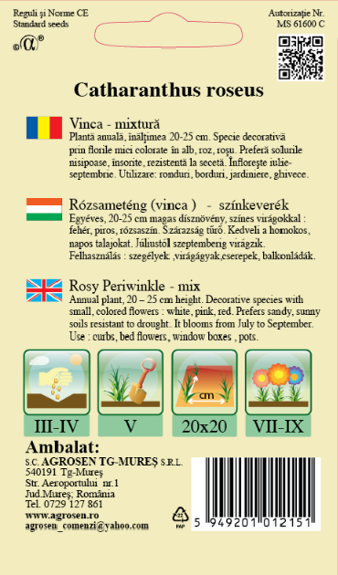 Vinca