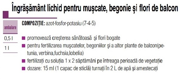 Ing.mușcate/ flori balcon - AGROCS
