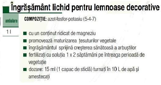Ing.plante lemnoase decorative - AGROCS