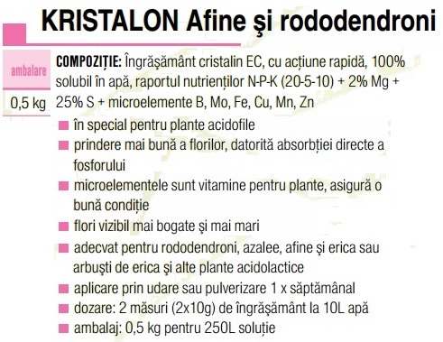 Îng.Kristalon afine/rododendron