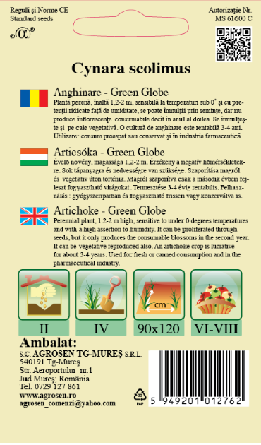 Anghinare-Green Globe