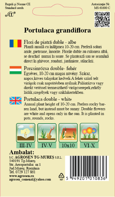 Flori de piatră duble Albe