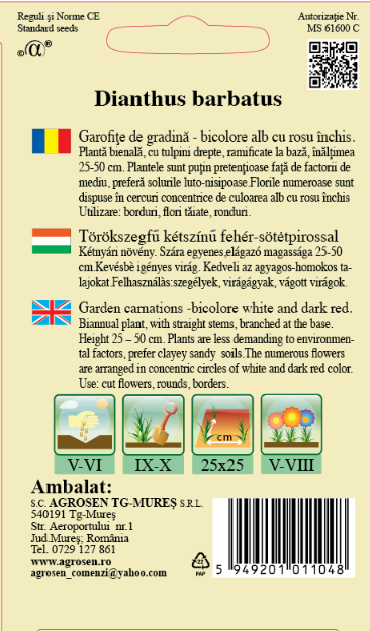 Garofiţe de grădină Holborn