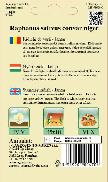 Ridichi de vară - Jantar