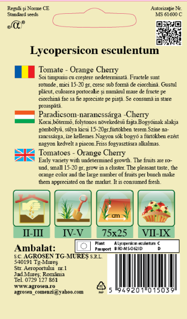 Tomate - Orange Cherry