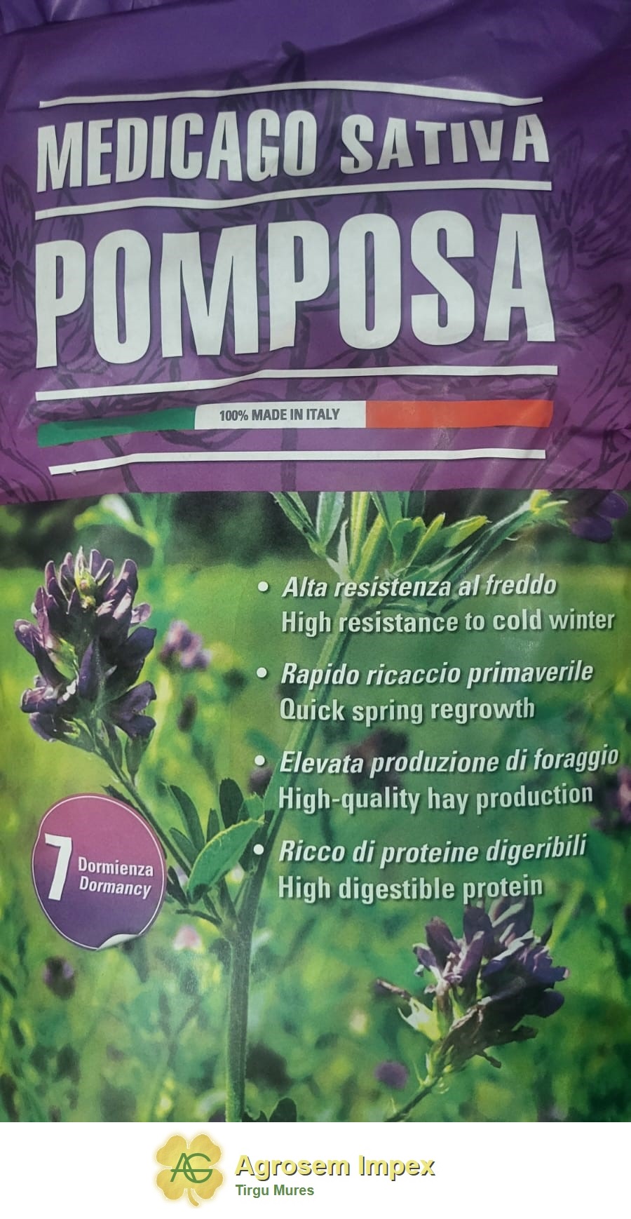 Lucerna Pomposa C1