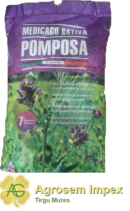 Lucerna Pomposa C1