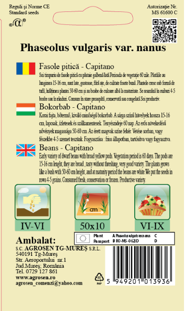 Fasole pitică - Capitano