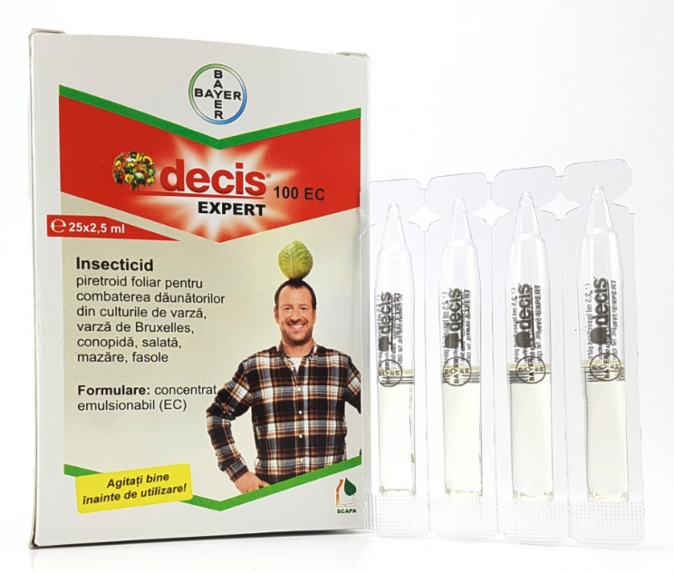 Decis Expert