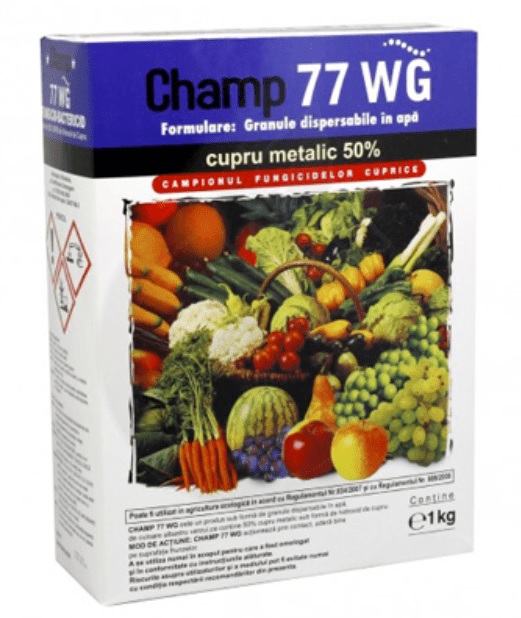 Champ 77 WG