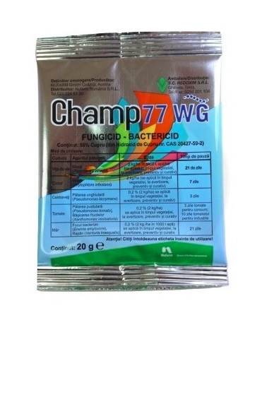 Champ 77 WG