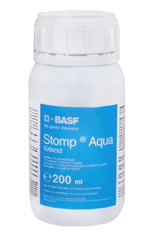 Stomp aqua