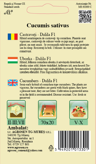 Castraveti cornichon - Dalila F1