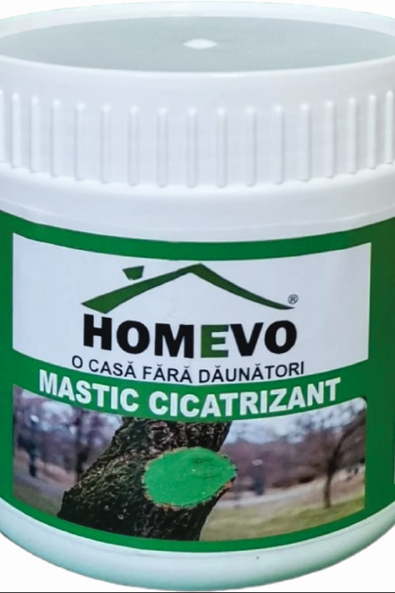 Mastic cicatrizant - HOMEVO