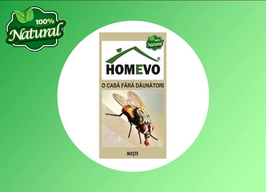 Muste - HOMEVO