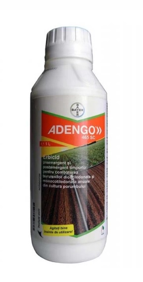 Adengo