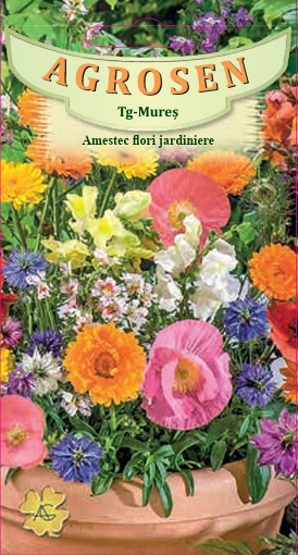 Amestec flori jardiniere