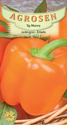 Ardei gras - Etiuda
