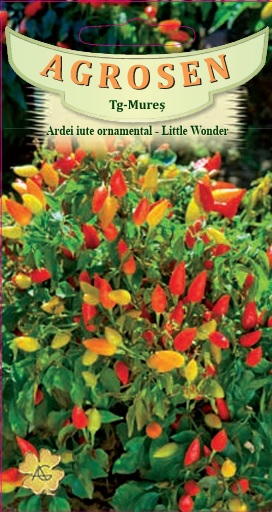Ardei iute ornamental - Little Wonder