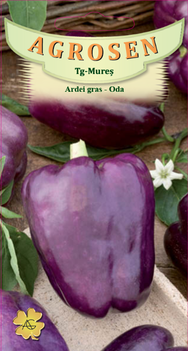 Ardei gras mov - Oda