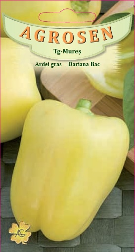 Ardei gras - Dariana Bac