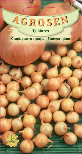 Ceapă arpagic - Stuttgart Giant