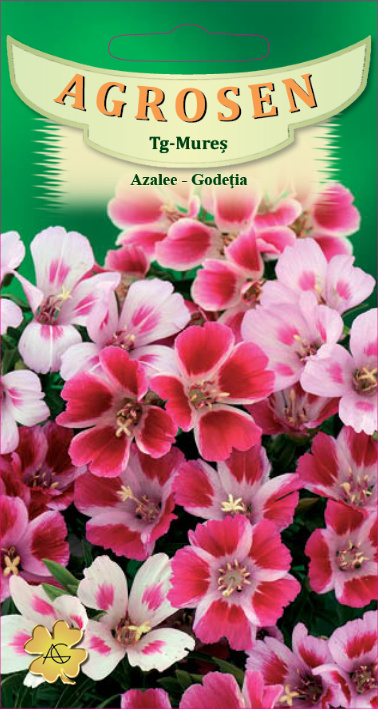 Azalee-Godeția