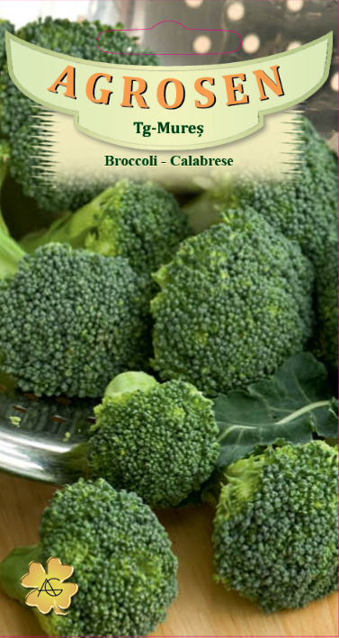Broccoli - Calabrese