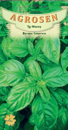 Busuioc Genovese