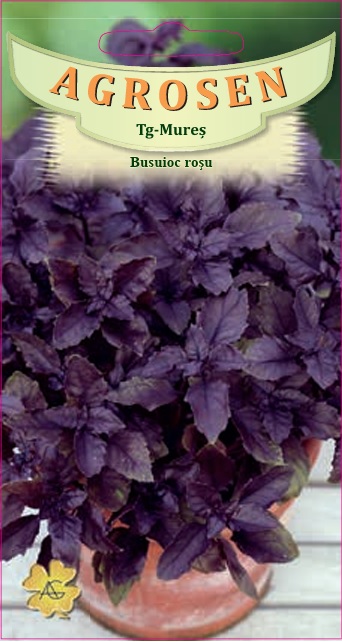 Busuioc roșu