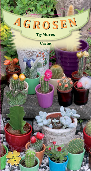 Cactus Mix