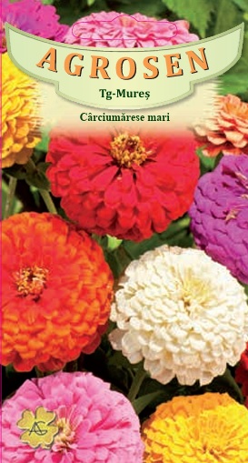 Cârciumărese mari